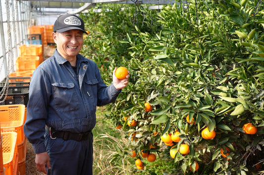「最後まで美味しくしたかったんです」——COZY farm・長友さんが育む、“せとか”と真っ直ぐな農業のかたち