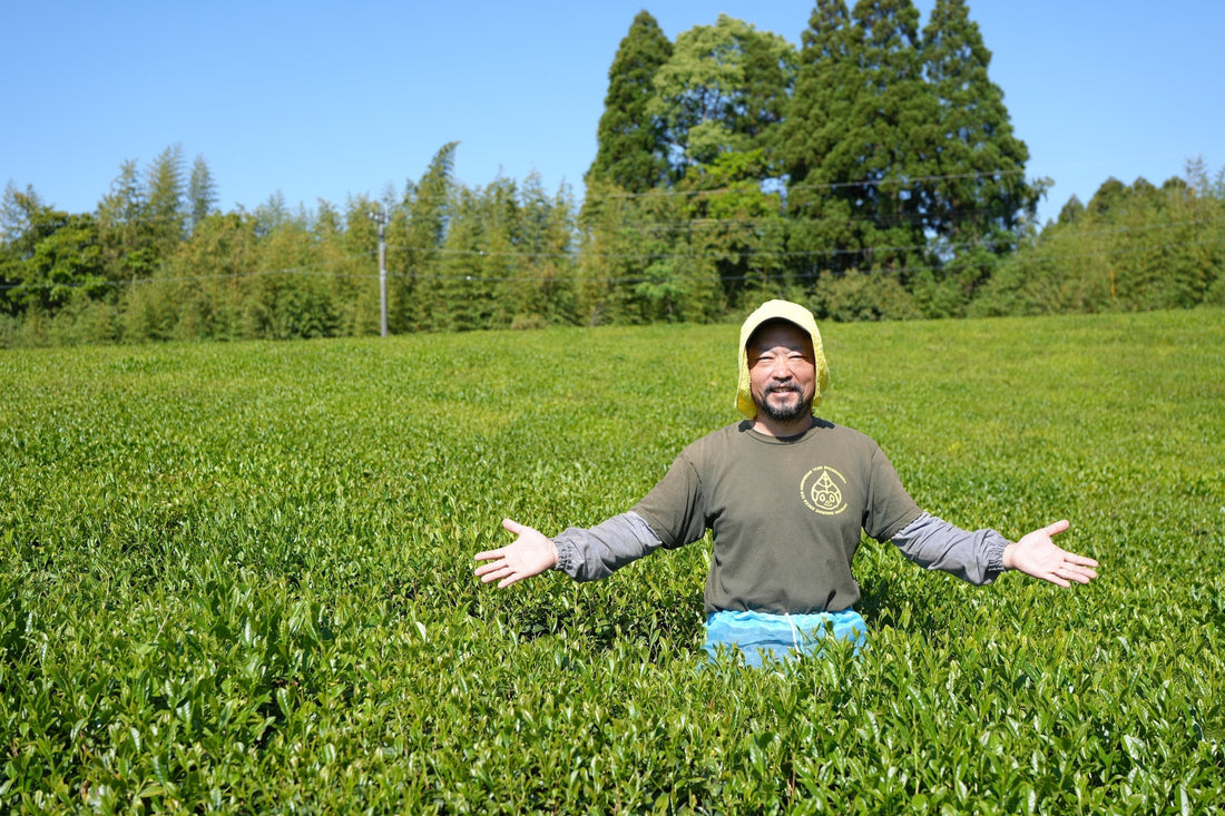 「人にも土にも虫にも優しいお茶」——豊緑園・森本さんが届ける、自然と暮らしに寄り添う一杯